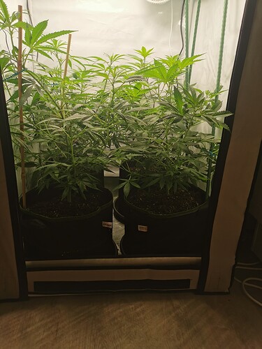Growreport Bild 13