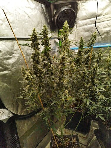Growreport Bild 23