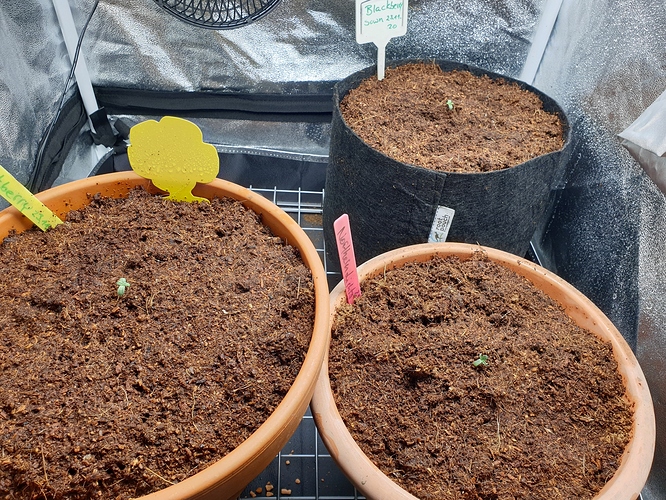 Growreport Bild 9