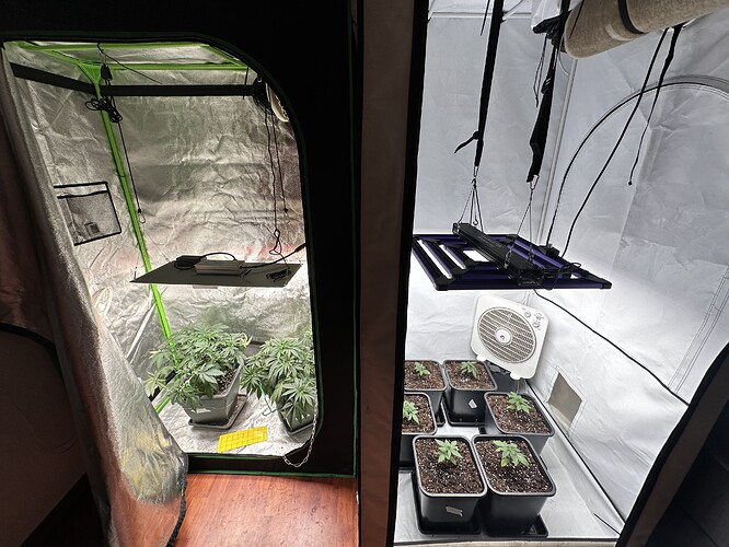 Growreport Bild 5
