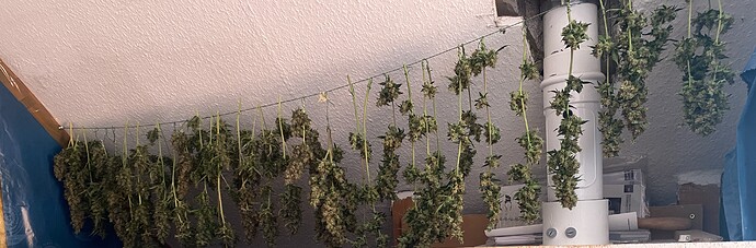 Growreport Bild 3