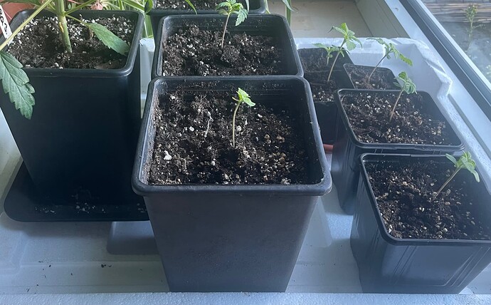 Growreport Bild 18
