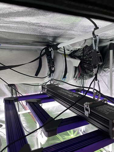 Growreport Bild 9