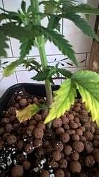Growreport Bild 10