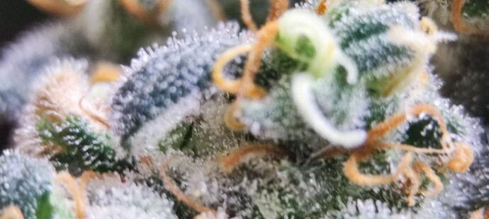 Growreport Bild 18