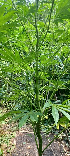 Growreport Bild 4
