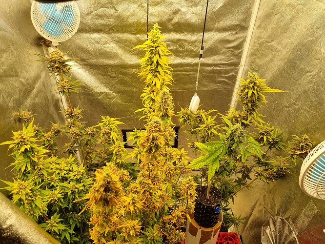 Growreport Bild 18