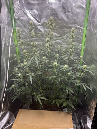 Growreport Bild 24