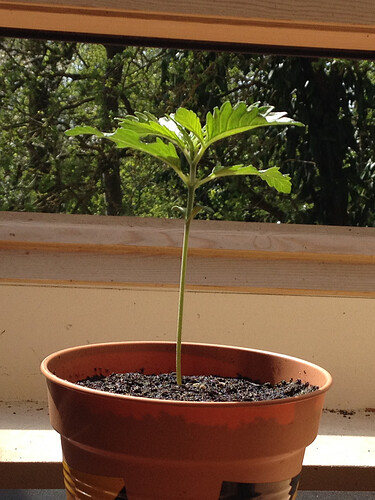 Growreport Bild 75