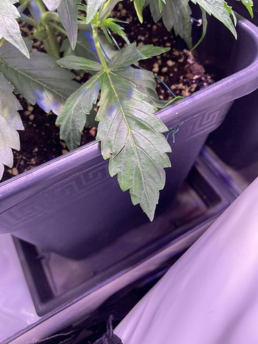 Growreport Bild 10