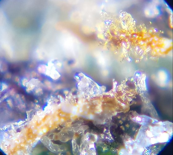 Growreport Bild 5