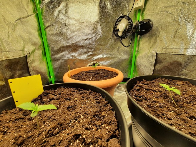 Growreport Bild 1