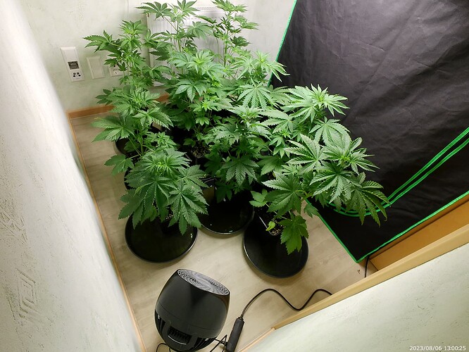 Growreport Bild 17