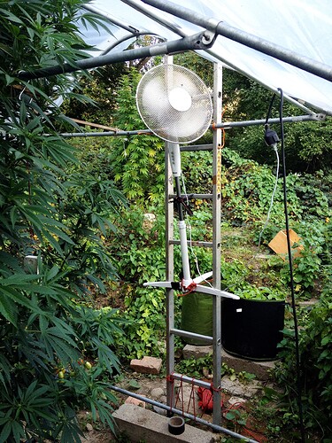 Growreport Bild 16