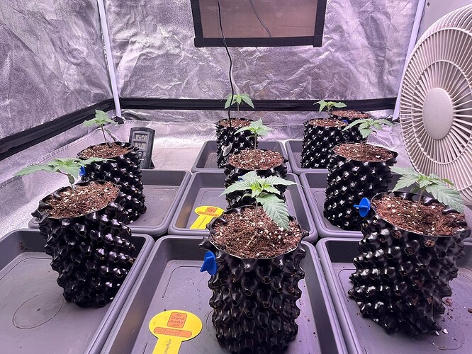 Growreport Bild 4