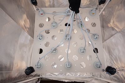 Einrichtung einer Growbox mit Kabeln und Fassungen für Lampen.