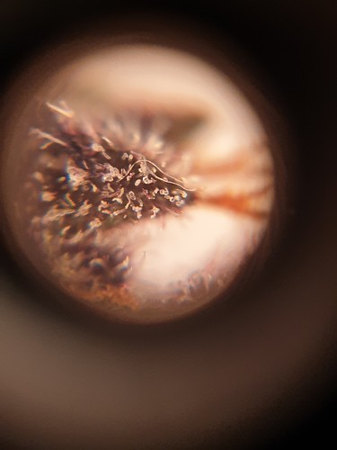 Growreport Bild 6