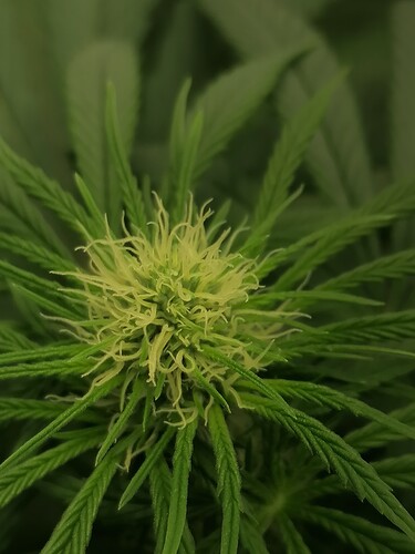 Growreport Bild 13