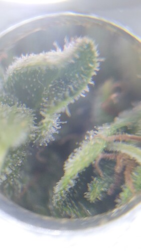 Growreport Bild 12