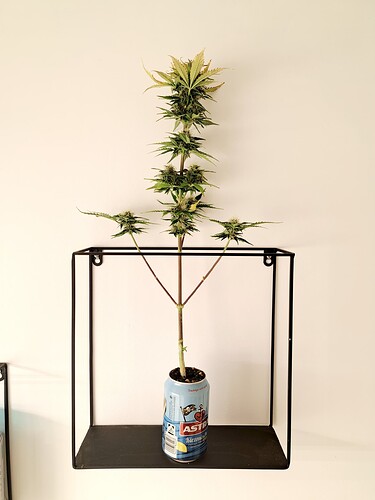 Growreport Bild 17