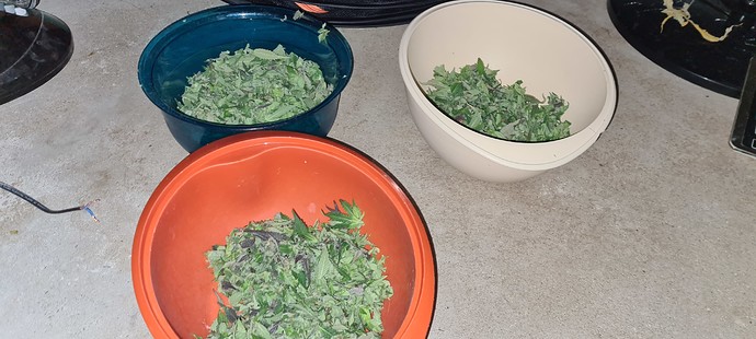 Growreport Bild 5