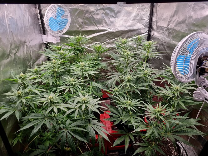 Growreport Bild 1