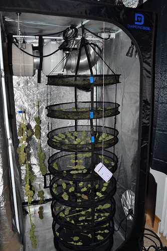 Growreport Bild 11