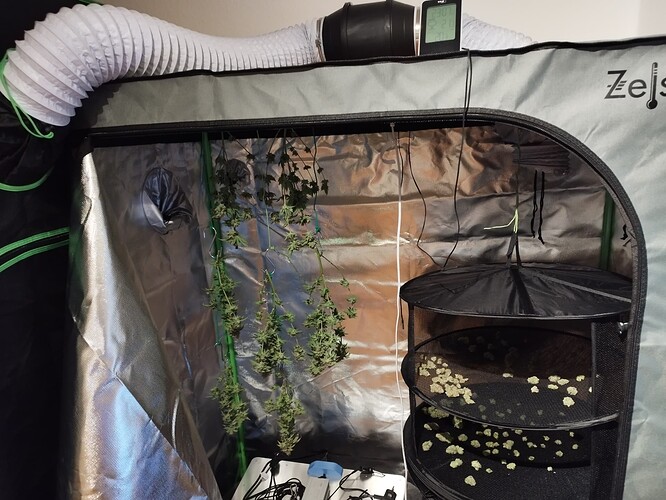 Growreport Bild 11