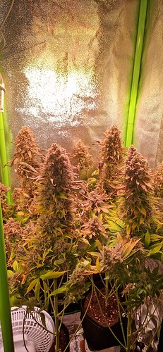 Growreport Bild 10