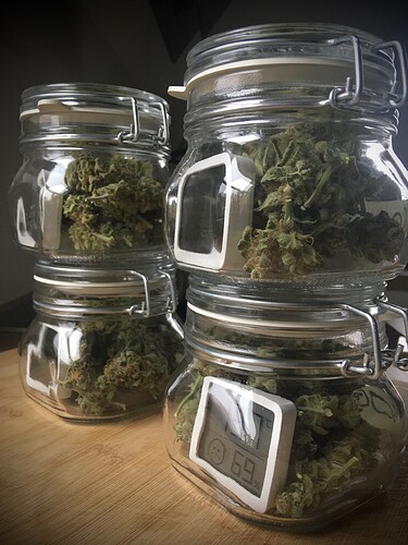 Growreport Bild 2