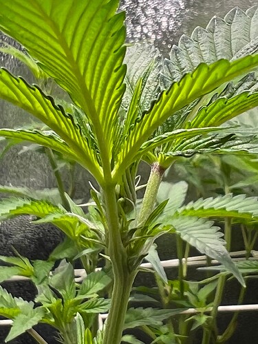 Growreport Bild 11