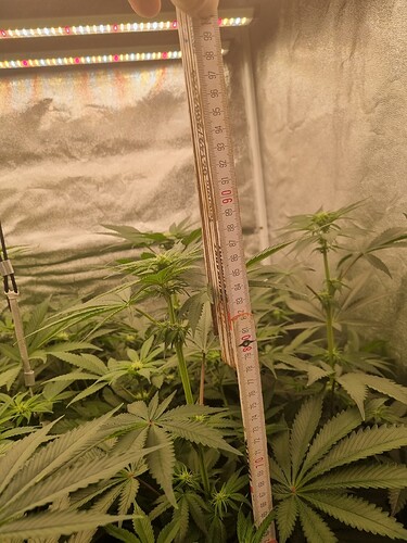 Growreport Bild 24