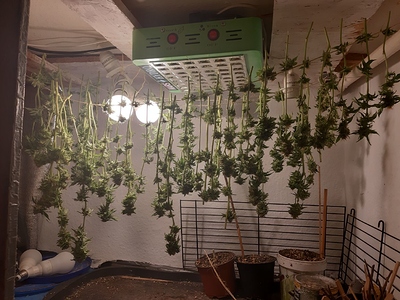 Growreport Bild 4