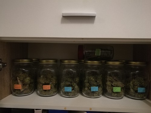 Growreport Bild 1