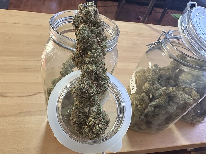 Growreport Bild 5