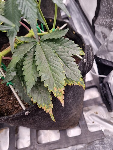 Growreport Bild 22
