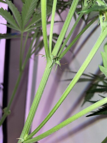 Growreport Bild 2