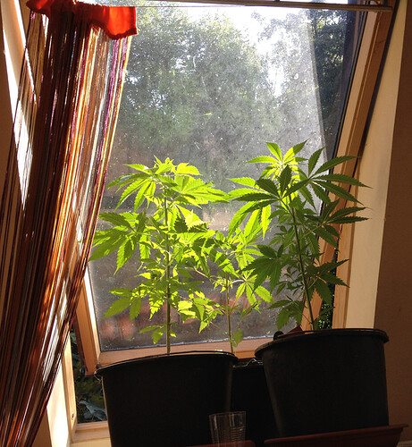 Growreport Bild 24