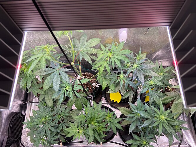 Growreport Bild 9