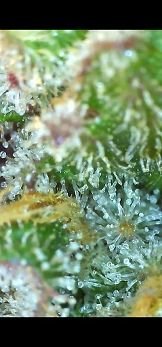 Growreport Bild 11