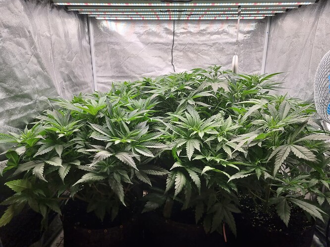 Growreport Bild 18