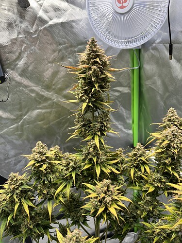 Growreport Bild 24