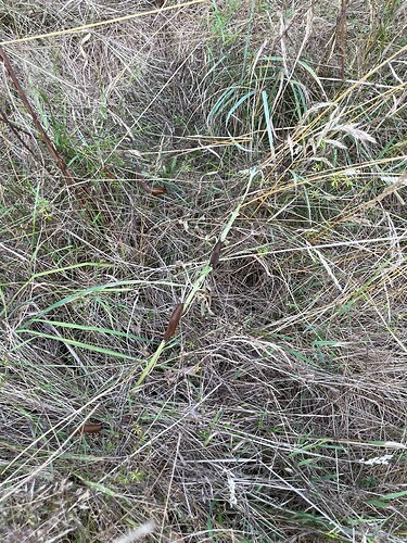 Growreport Bild 11