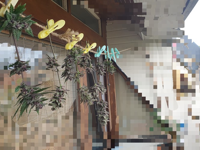 Growreport Bild 11