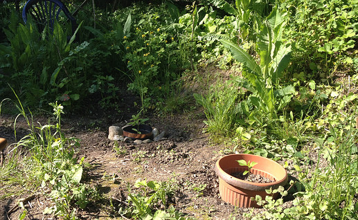 Growreport Bild 15