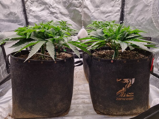 Growreport Bild 17