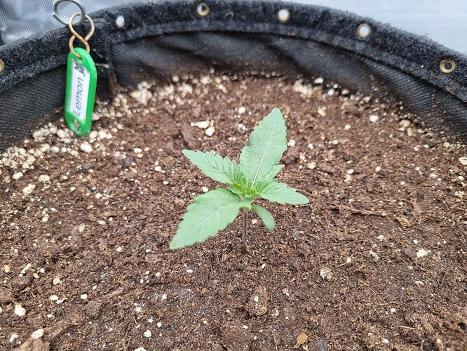 Growreport Bild 24