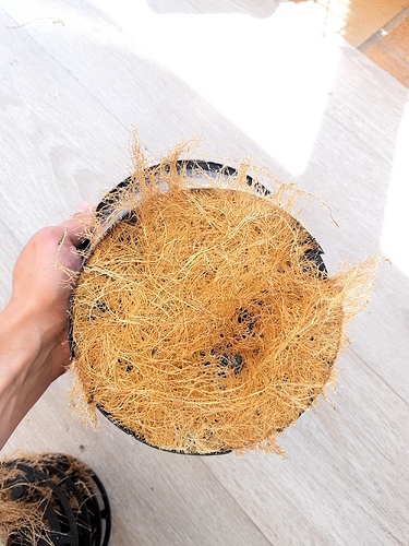 Growreport Bild 4