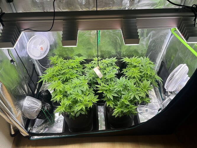 Growreport Bild 14
