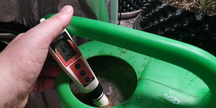Growreport Bild 19